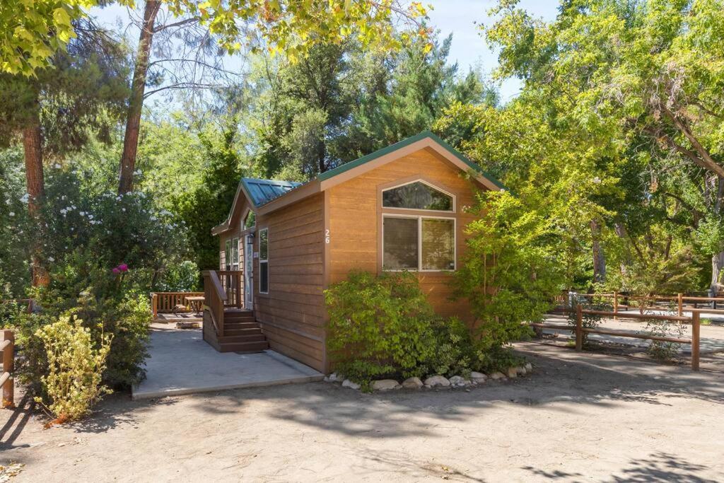Adorable Little Cabin #21 カーンビル エクステリア 写真