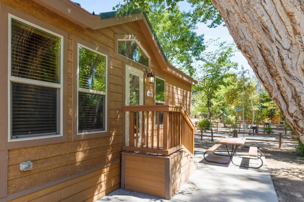 Adorable Little Cabin #21 カーンビル エクステリア 写真